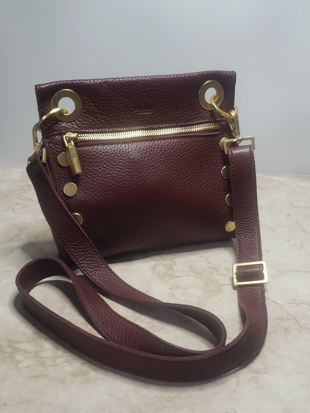 Hammitt Leather Crossbody Bag in Deep Burgundy with Gold Hardware